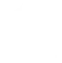 icon4