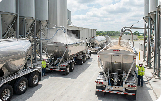 Dry Bulk Transport